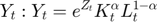 $$Y_t: Y_t = e^{Z_{t}}K_{t}^{\alpha}L_t^{1-\alpha}$$