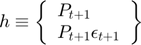 $$h \equiv \left\{\begin{array}{l} P_{t+1}\\ P_{t+1}\epsilon_{t+1} \end{array} \right\}$$